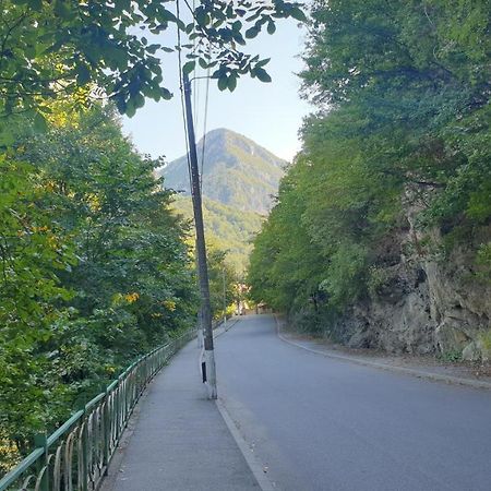 Casa Arion Appartement Băile Herculane Buitenkant foto