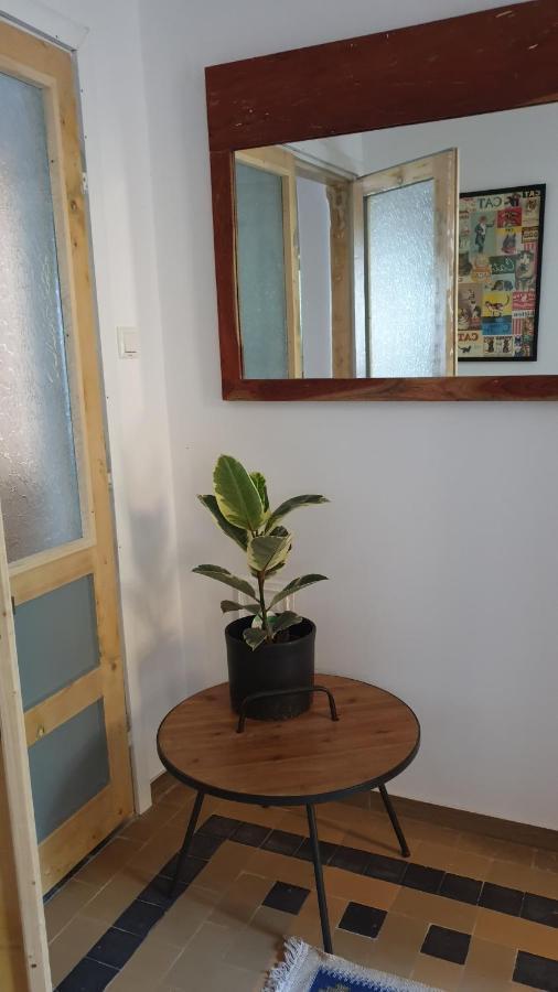 Casa Arion Appartement Băile Herculane Buitenkant foto