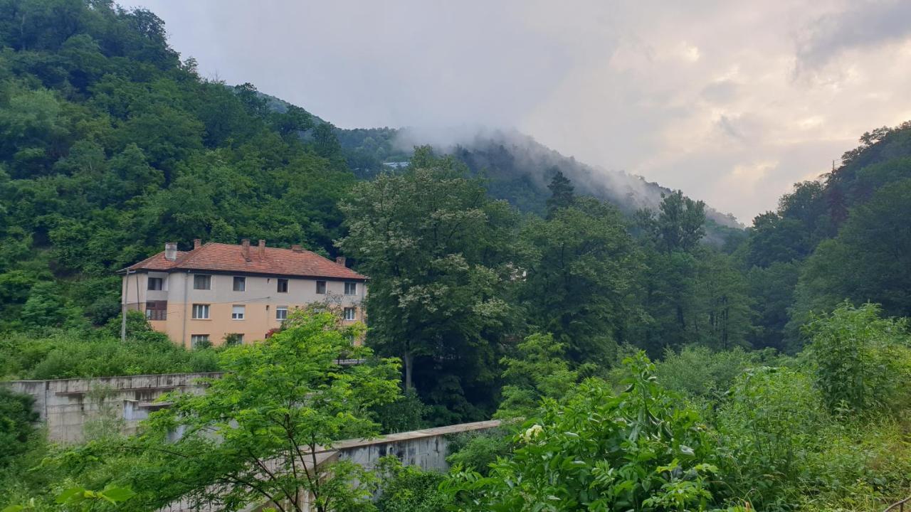 Casa Arion Appartement Băile Herculane Buitenkant foto