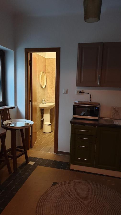 Casa Arion Appartement Băile Herculane Buitenkant foto