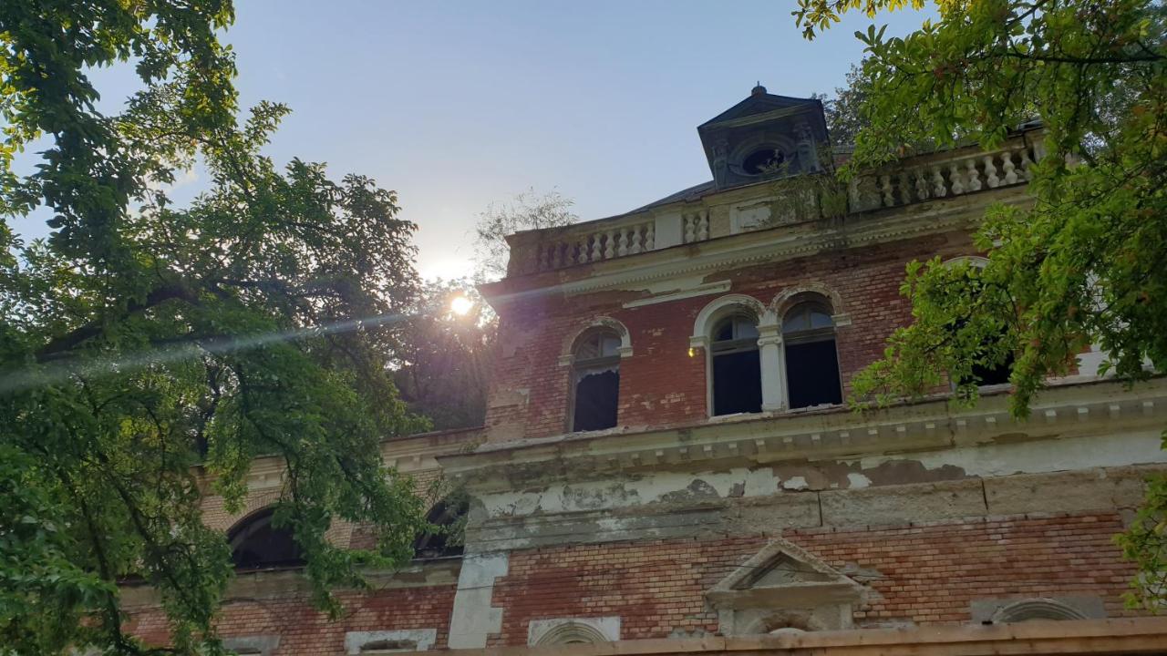 Casa Arion Appartement Băile Herculane Buitenkant foto