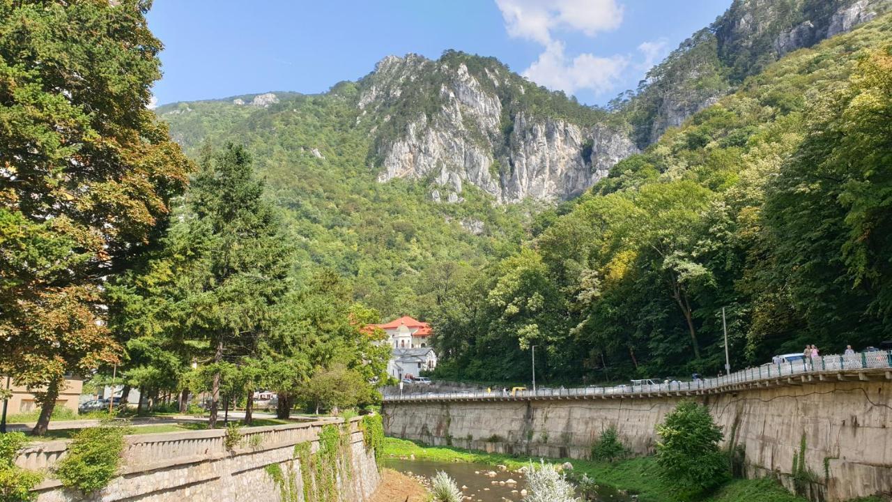 Casa Arion Appartement Băile Herculane Buitenkant foto