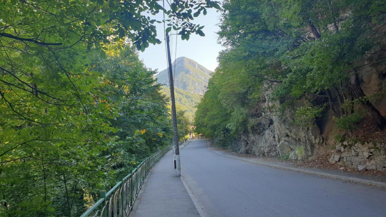 Casa Arion Appartement Băile Herculane Buitenkant foto