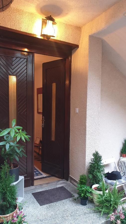 Casa Arion Appartement Băile Herculane Buitenkant foto